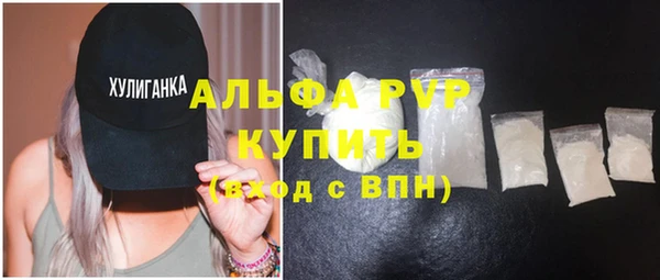 молекула духа Арсеньев