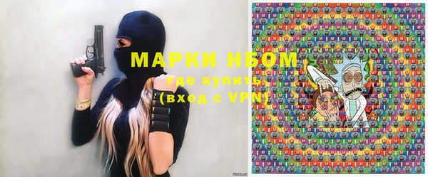 молекула духа Арсеньев