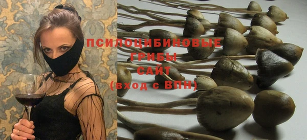 молекула духа Армянск
