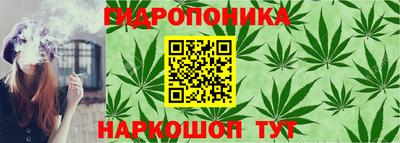 дживик Тула