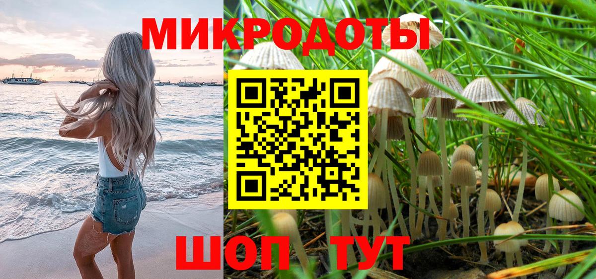 Галлюциногенные грибы Psilocybine cubensis  Псилоцибиновые грибы Psilocybine cubensis  Вход с VPN  Сибай 
